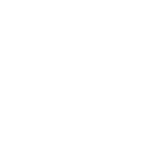Enterprise-Grade security